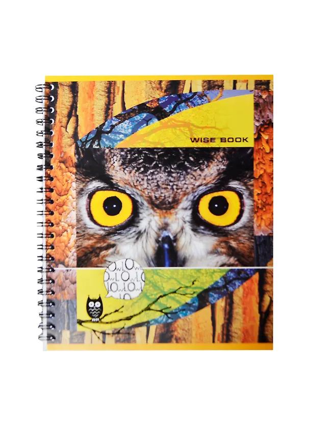 Тетрадь в клетку Полиграфика, Wise Eyes, 80 листов, в ассортименте 231730 — 2