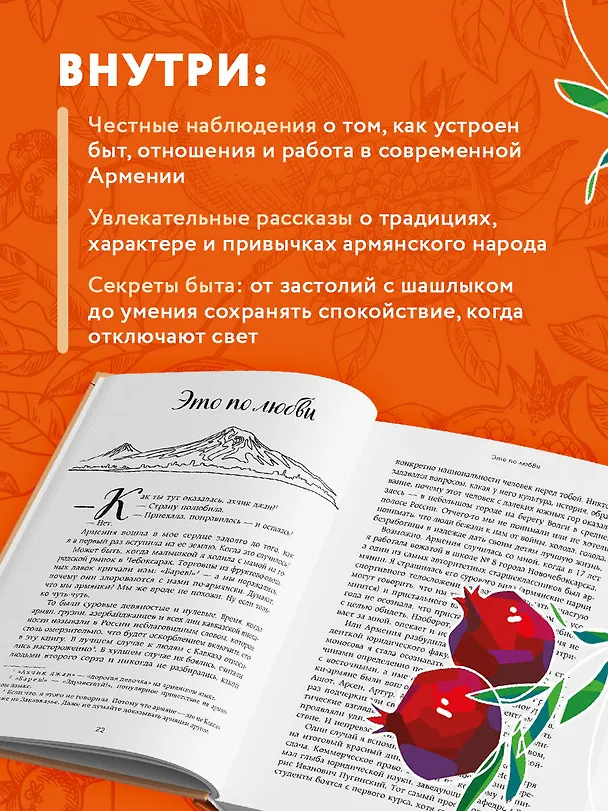 Книга Армения изнутри. Как на самом деле живут в стране гостеприимства и древних монастырей? (Людмила Яковлева) — 9