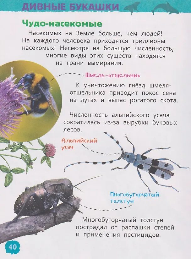 Книга Красная книга мира. Энциклопедия для детского сада (Лариса Клюшник) — 5