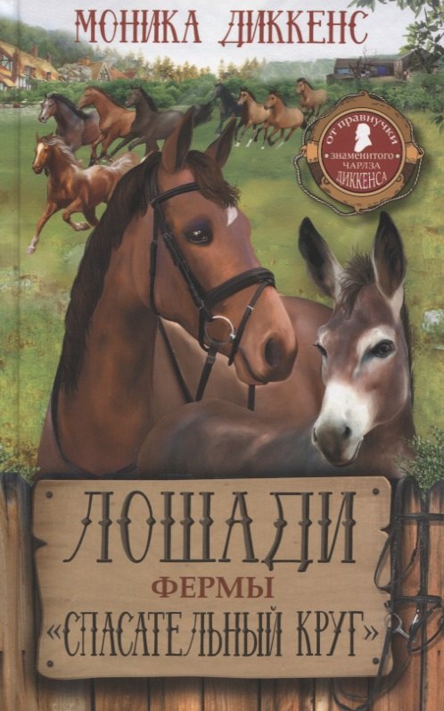 

Лошади фермы "Спасательный круг"