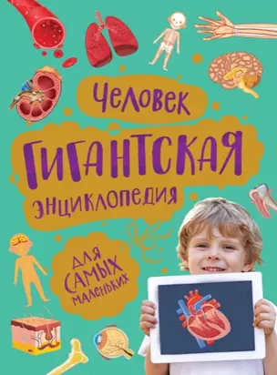 Человек. Гигантская энциклопедия для самых маленьких — 2902337 — 1