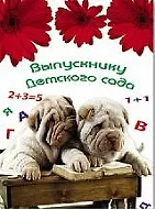 Папка адресная "ВЫПУСКНИКУ ДЕТСКОГО САДА" 5785, Феникс