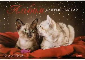 Альбом для рисования Hatber, "Мы любим котиков", А4, 12 листов, в ассортименте