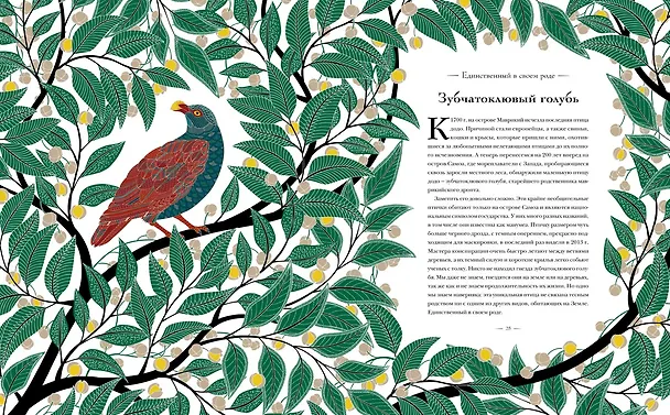 Книга Книга исчезающих животных для неравнодушных сердец (Милли Маротта) — 6