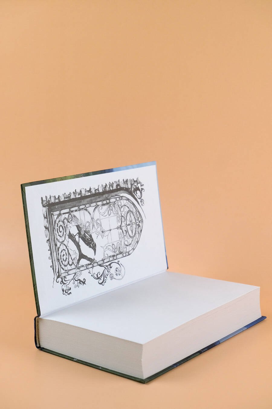 Изображение бумажной книги