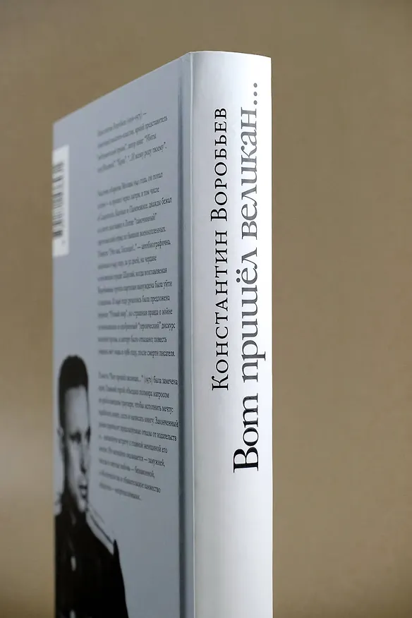 Книга Вот пришел великан... (Константин Воробьев) — 11