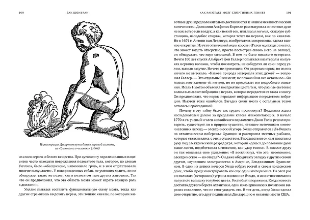 Книга Как работает мозг спортивных гениев. Нейробиологическая основа высоких достижений (Зак Шонбран) — 6