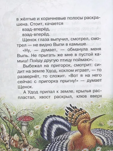 Книга Лис и Мышонок. Сказки (Виталий Бианки) — 13