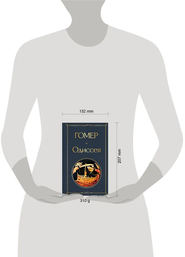 Книга Одиссея (Гомер) — 8