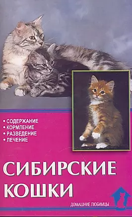 Сибирские кошки. Содержание. Кормление. Разведение. Лечение — 1811032 — 1