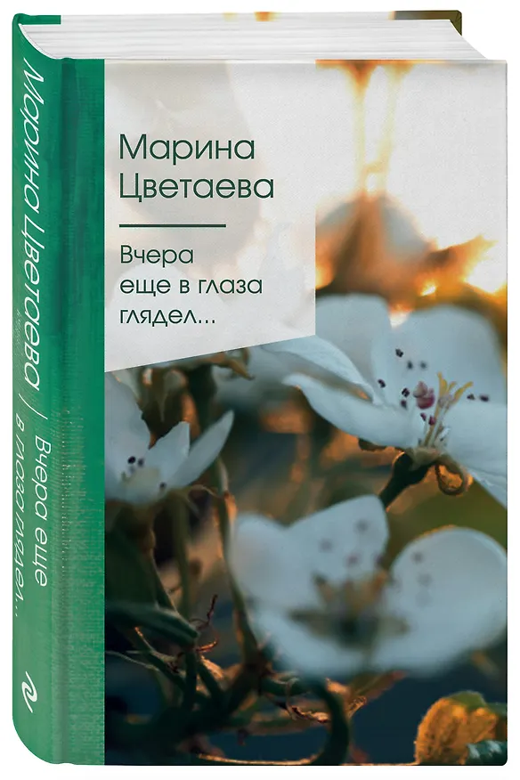 Книга Вчера еще в глаза глядел... (Марина Цветаева) — 4