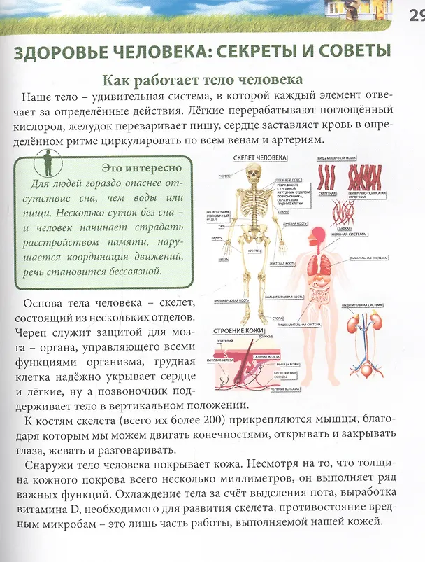Книга Для мальчиков (Мария Куруськина) — 5