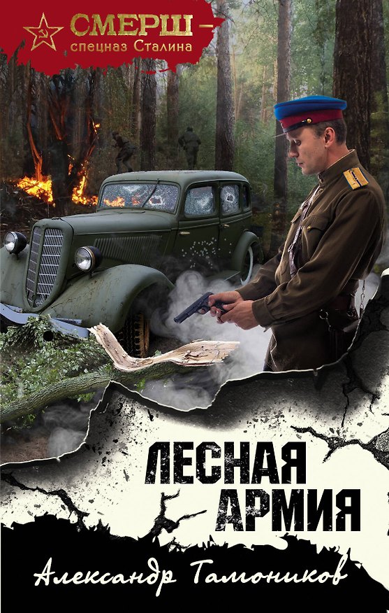 Книга Лесная армия (Александр Тамоников) — 1