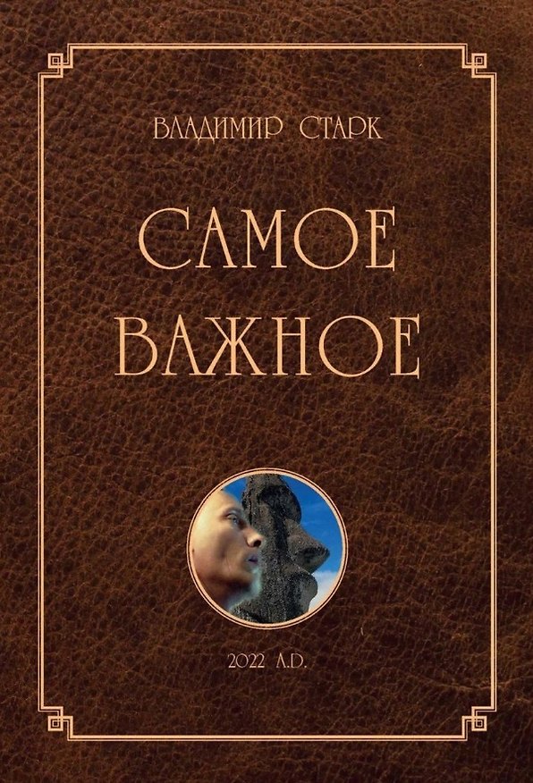 Книга Самое важное (Владимир Старк) — 1
