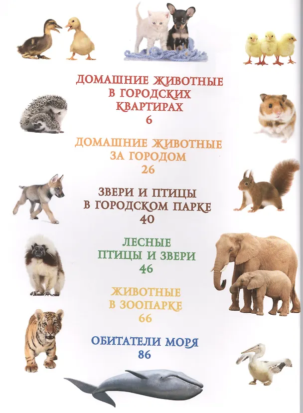 Книга Моя первая книга о животных (Лена Данилова) — 2