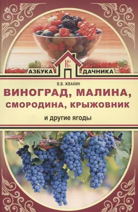 Виноград, малина, смородина, крыжовник и другие ягоды — 2628103 — 1