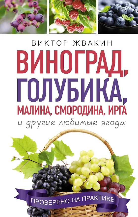 Книга Как вырастить виноград и другие любие ягоды. Простые и понятные инструкции для начинащих. Виноград, голубика, малина, смородина, ирга и другие любимые ягоды (Виктор Жвакин) — 1