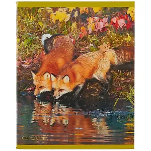 Тетрадь в клетку Unnika, "Лесные жители", 48 листов, в ассортименте