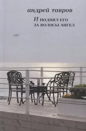 И поднял его за волосы ангел. Повесть, рассказы и 7 стихотворений в прозе — 2739634 — 1