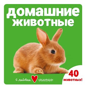 Домашние животные