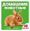 Домашние животные — 3185985 — 1