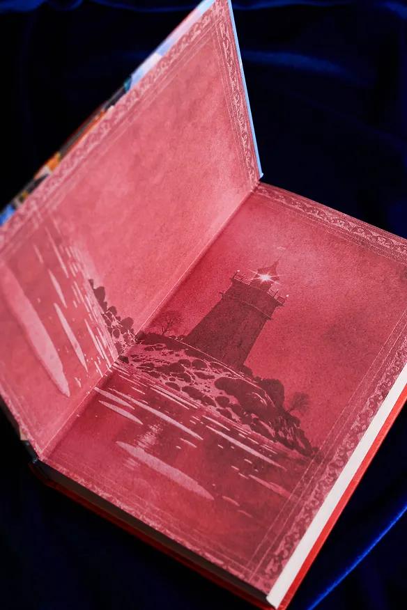 Книга Королева скалистого берега. Возлюбленная берсерка (Любовь Оболенская) — 9