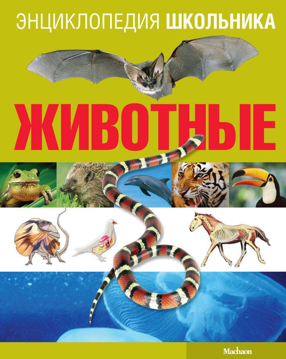 

Животные
