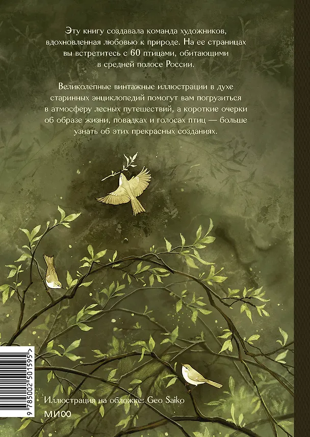 Книга Птицы леса. Артбук (Geo Saiko) — 2