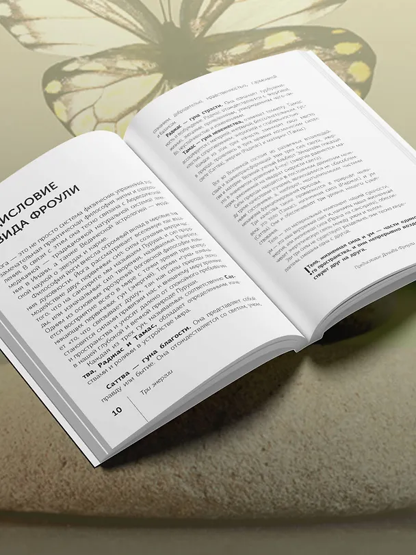 Книга Три энергии. Забытые каноны здоровья и гармонии (Рами Блект) — 6