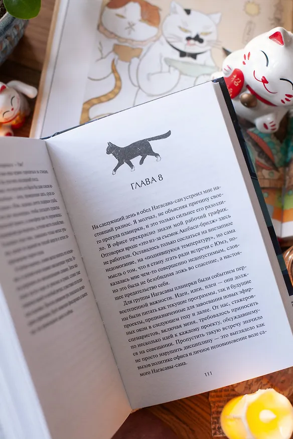 Книга Коты Синдзюку (Дуриан Сукегава) — 13