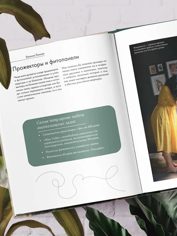Книга Заклинатель комнатных растений. Секретные лайфхаки от профессионального цветовода (Евгения Лисова) — 13