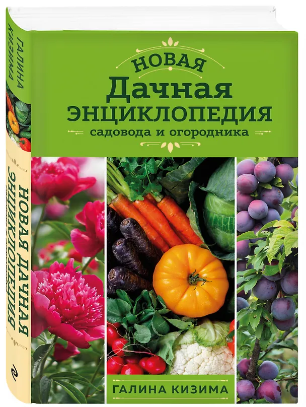 Книга Новая дачная энциклопедия садовода и огородника (новое оформление) (Галина Кизима) — 4