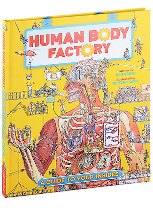 The Human Body Factory. A Guide To Your Insides — 2890862 — 1