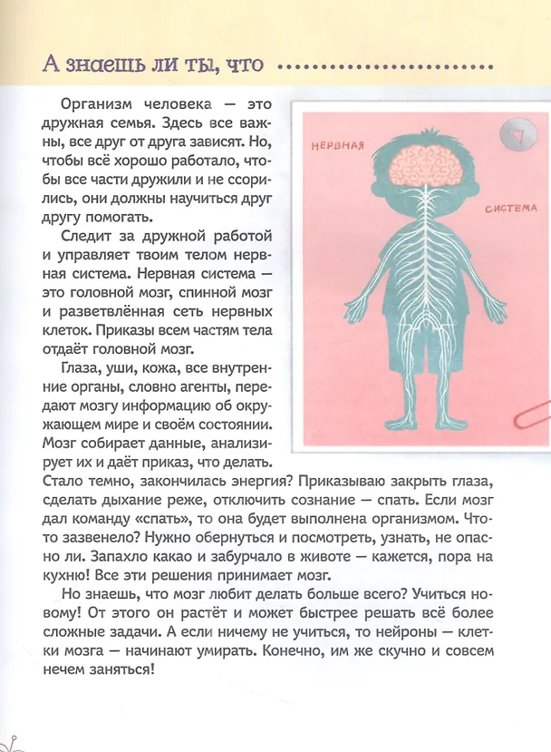 Книга Тело человека (Ольга Колпакова) — 4