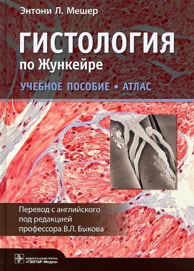 Книга Гистология по Жункейре. Учебное пособие. Атлас (Энтони Л. Мешер) — 1