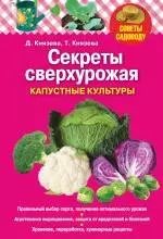 Секреты сверхурожая: капустные культуры — 2234847 — 1