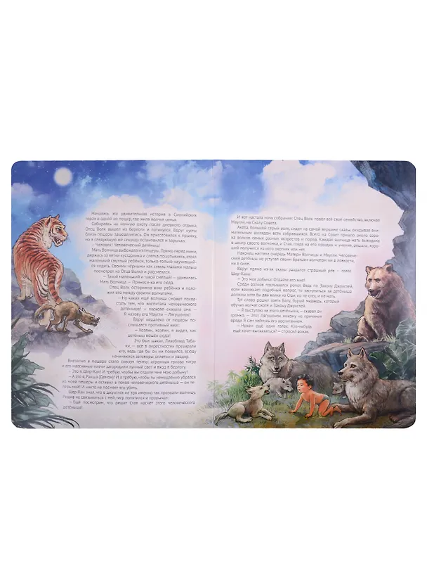 Книга книги на картоне МАКСИ 235х315  7 разворотов. Маугли (Редьярд Киплинг) — 2