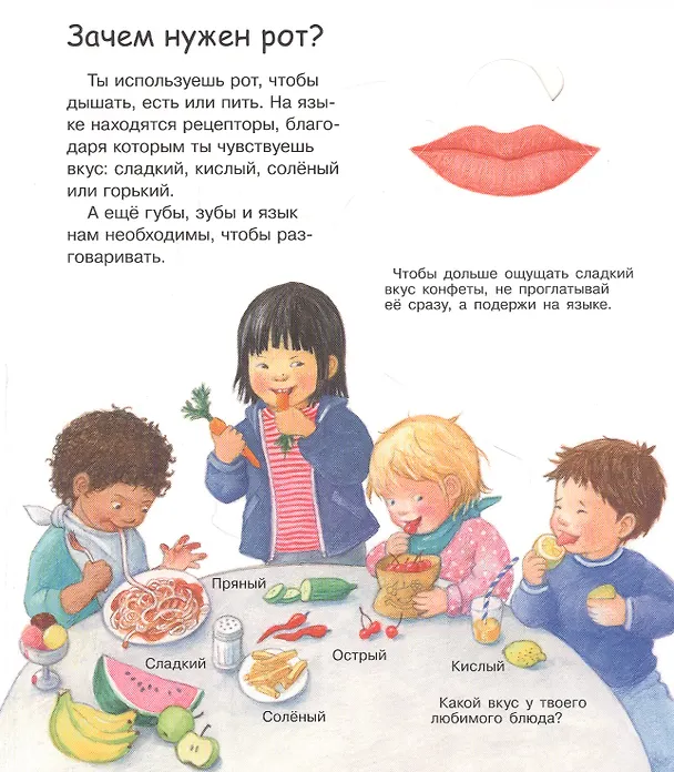 Книга Что? Почему? Зачем? Вижу, слышу, чувствую (с волшебными окошками) (Дорис Рюбель) — 4