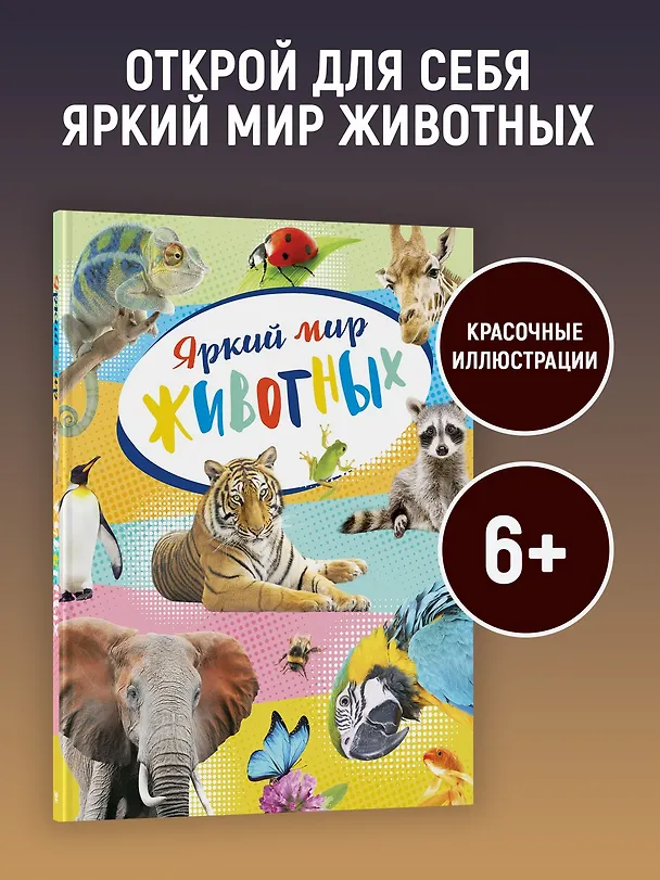 Книга Яркий мир животных (Кристин Балле) — 4