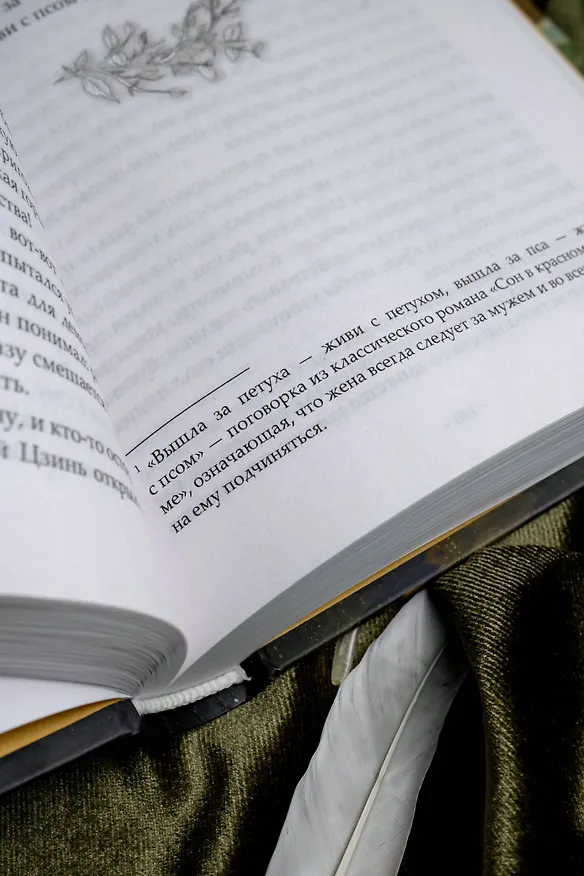 Книга Светлый пепел луны. Книга 2. Новелла (Тэнло Вэйчжи) — 14