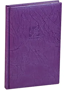 Алфавитная книга А5 80 листов "SCRIBBLE" фиолетовая