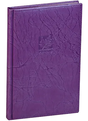 Алфавитная книга А5 80 листов "SCRIBBLE" фиолетовая 244392