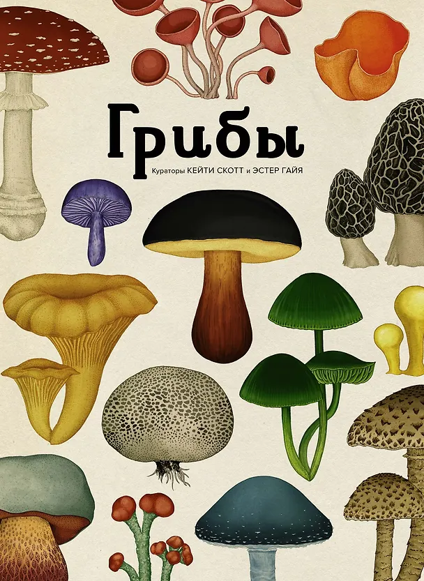 Книга Грибы (Дэвид Л. Хауксворт, Лора М. Сьюз, Пепейн В. Кой, Каре Лиматайнен) — 1