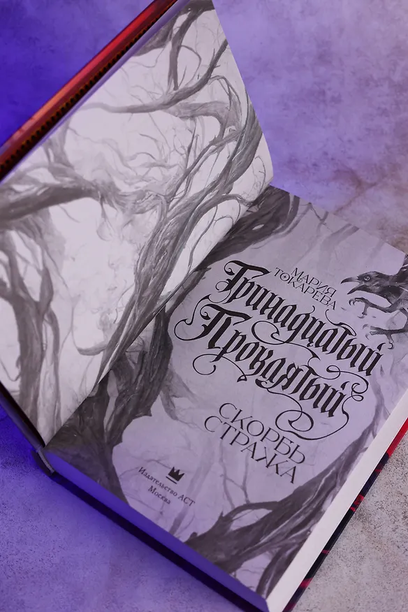 Книга Тринадцатый Проклятый. Скорбь Стража (Мария Токарева) — 12