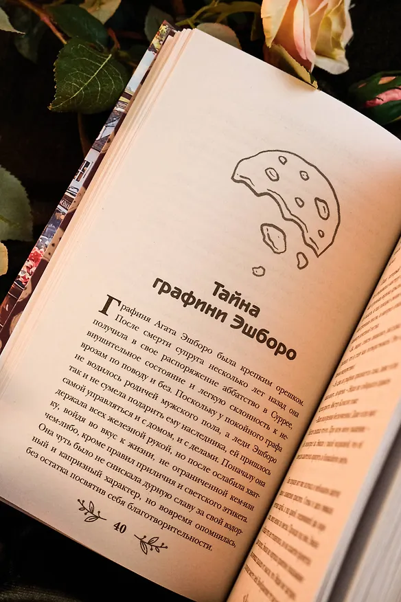 Книга Святые печенюшки (Чарльз Ларкин) — 15