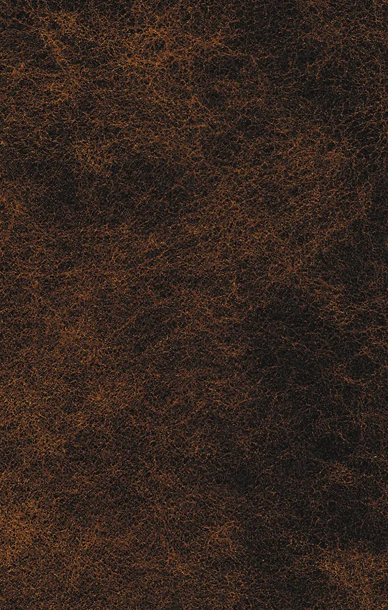 Книга Морфий : повести, рассказы, пьесы (Михаил Булгаков) — 2