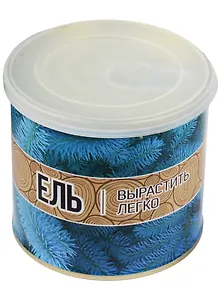 Мини - дерево в банке Ель  (411494)