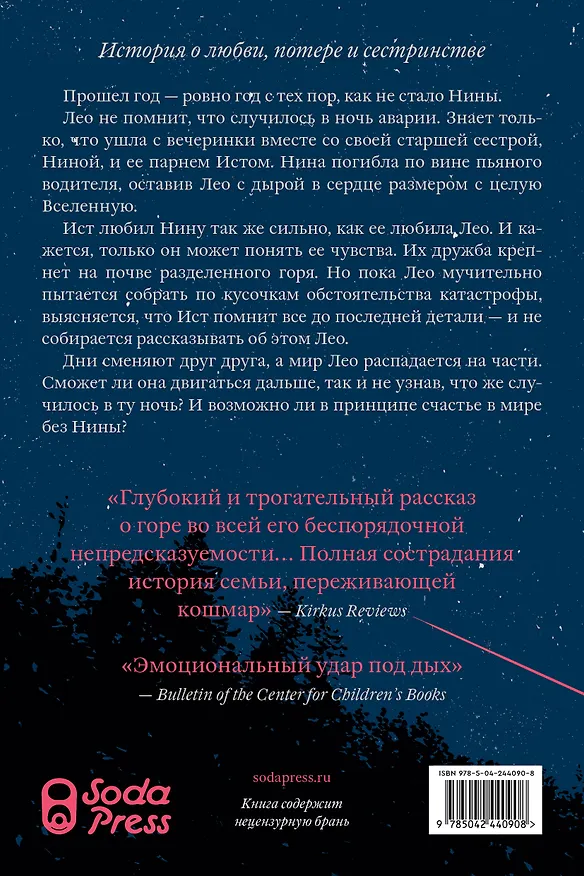 Книга Ровно год (Робин Бенуэй) — 2