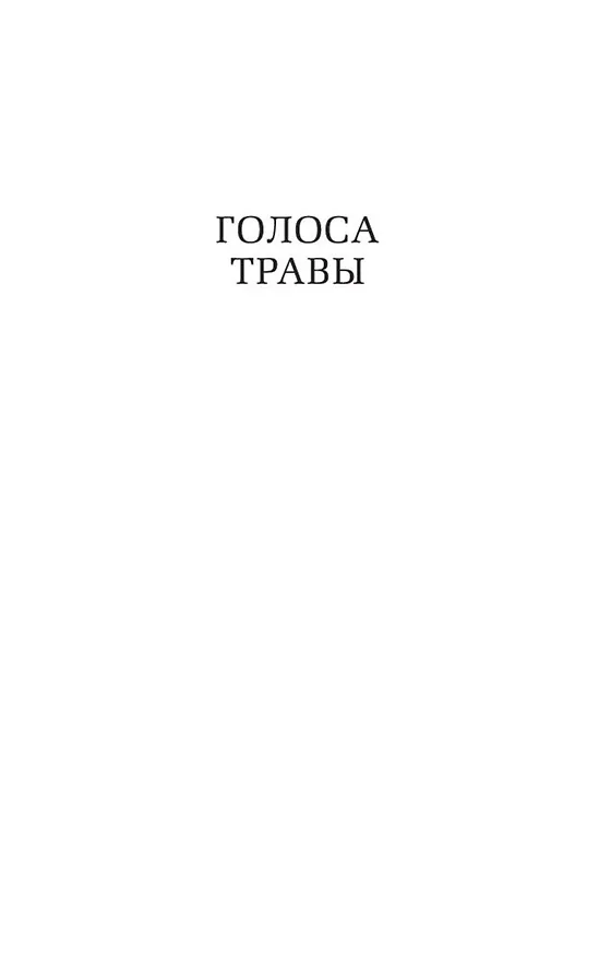 Книга Завтрак у Тиффани (Трумэн Капоте) — 12