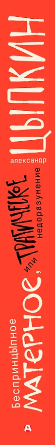 Книга БеспринцЫпное матерное, или Трагическое недоразумение (Александр Цыпкин) — 3